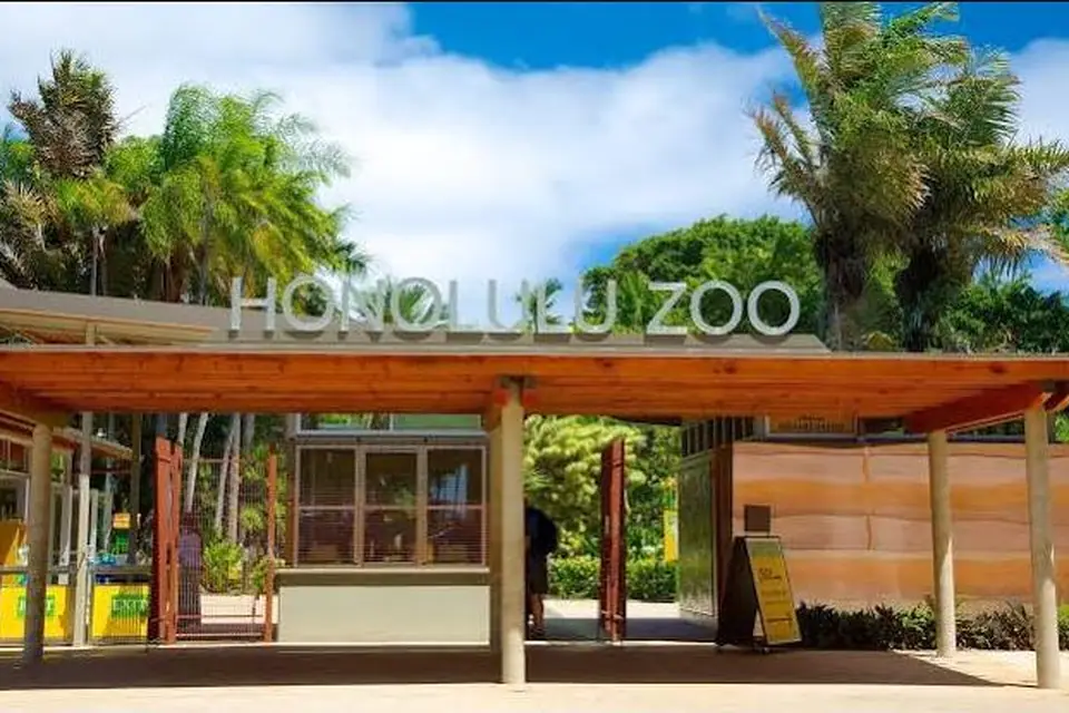 SSA - Honolulu Zoo